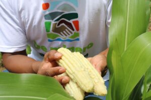 Mineros artesanales de Bonanza se transforman en productores y líderes comunitarios