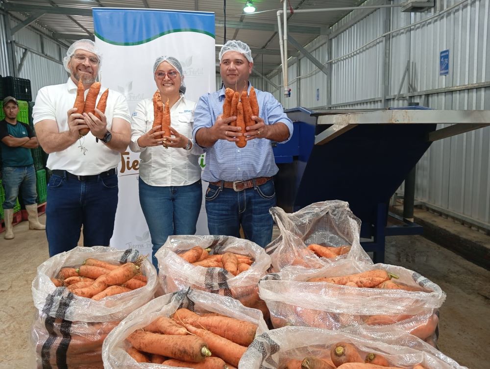 Walmart Nicaragua distingue la excelencia agrícola de sus socios estratégicos