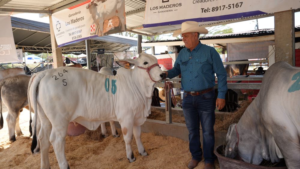 Banpro presente en feria ganadera Hatofer 2026