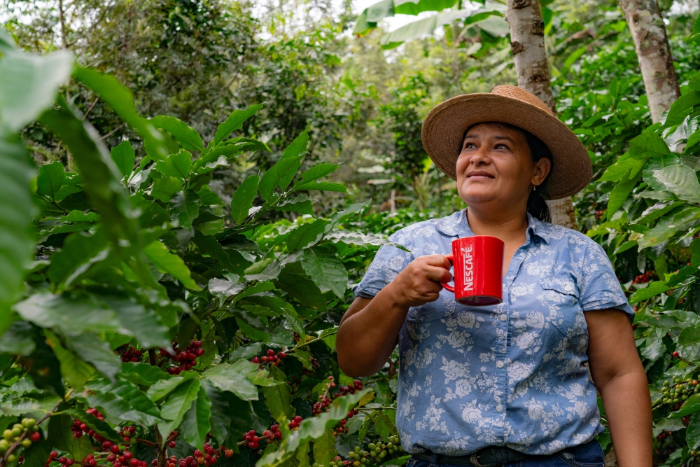 el 54% de sus posiciones de liderazgo están ocupadas por mujeres.