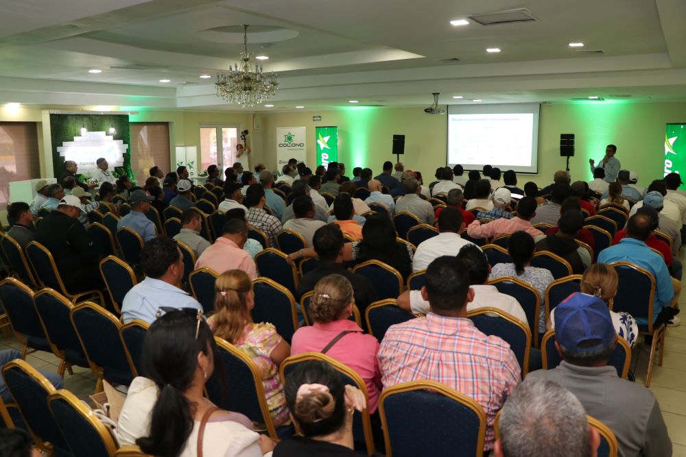 Banpro ofrece créditos a productores de caña de azúcar