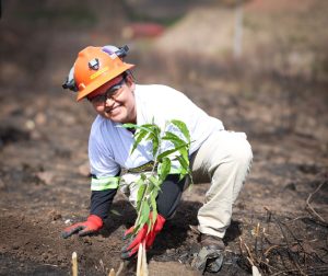 Condor Gold presenta su programa de reforestación 