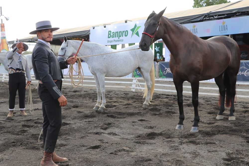Banpro participa en la feria del caballo