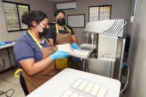 El sabor de una idea que creció hasta conquistar las góndolas de Walmart