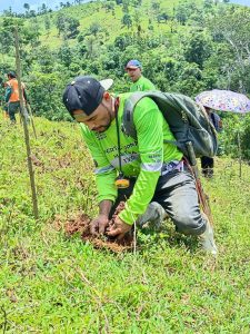 Arranca la siembra de 127 mil árboles en Bonanza 