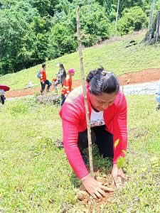 Arranca la siembra de 127 mil árboles en Bonanza 