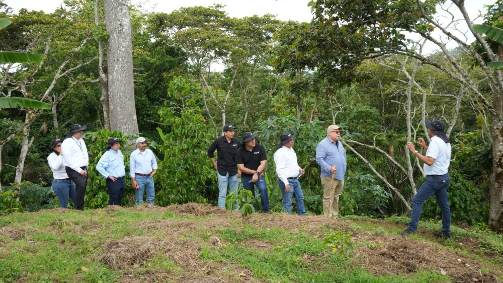 Banpro entrega reconocimiento a clientes productores de café