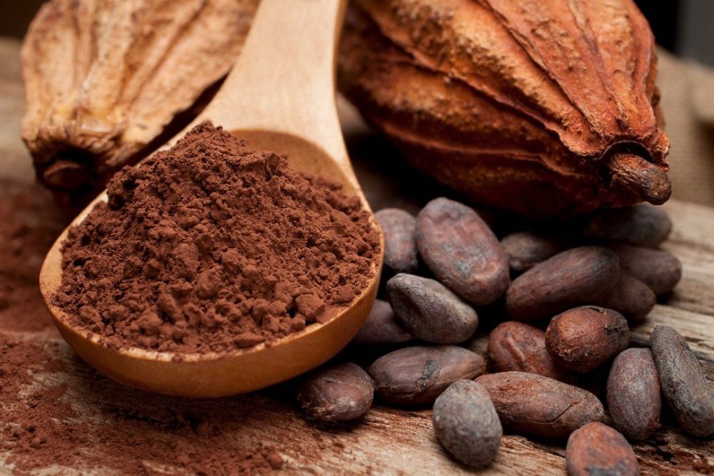 Chocolate: los mitos y verdades que todo amante del chocolate debería conocer